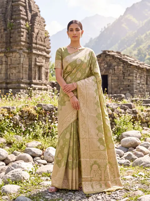 Sage-green banarasi saree by a Himalayan temple — made with Drapify